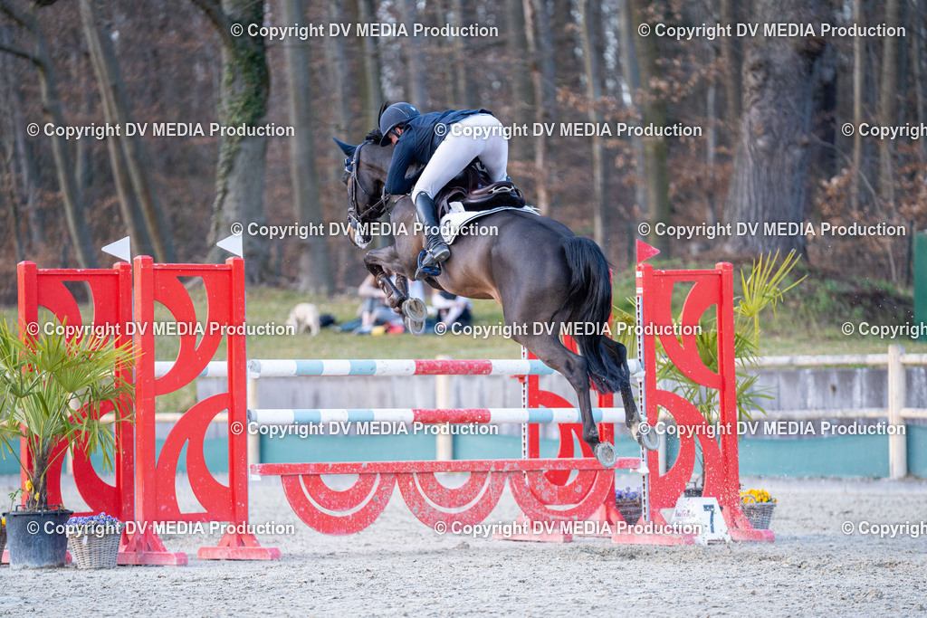 Kranichstein Tag 2-1049 | dv-media-shop - Realisiert mit Pictrs.com