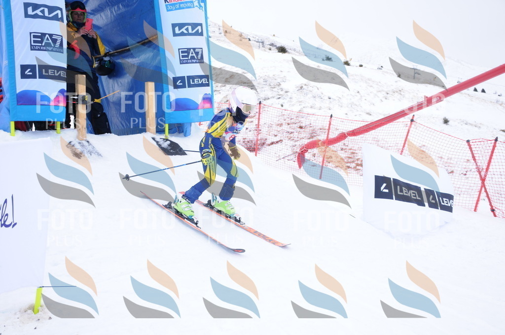 DSC_8166 | holidayphoto