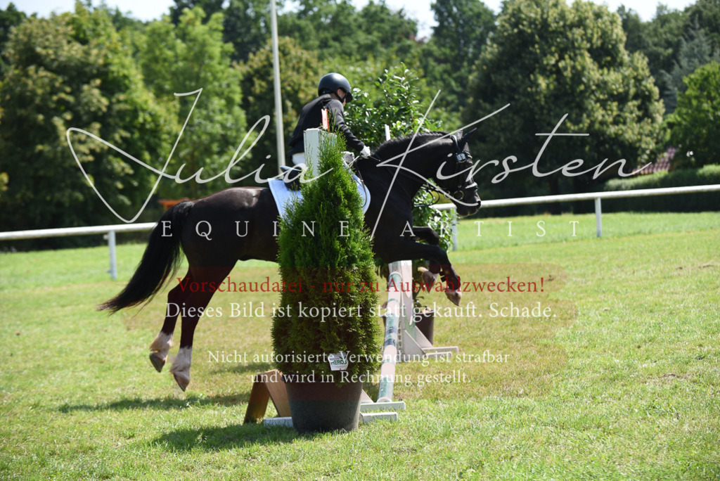 DSC_9892 | Pferde- und Turnierfotografie in Westsachsen. Pferdeportraits, Auftragszeichnungen und intuitive Kunst.