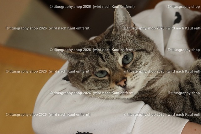 IMG_6761 | titusgraphy-shop: Geschenkideen mit Qualitätsfotos. titusgraphy-shop: gift ideas with quality photos. titusgraphy-shop: idées cadeaux avec photos de qualité.  - Realisiert mit Pictrs.com