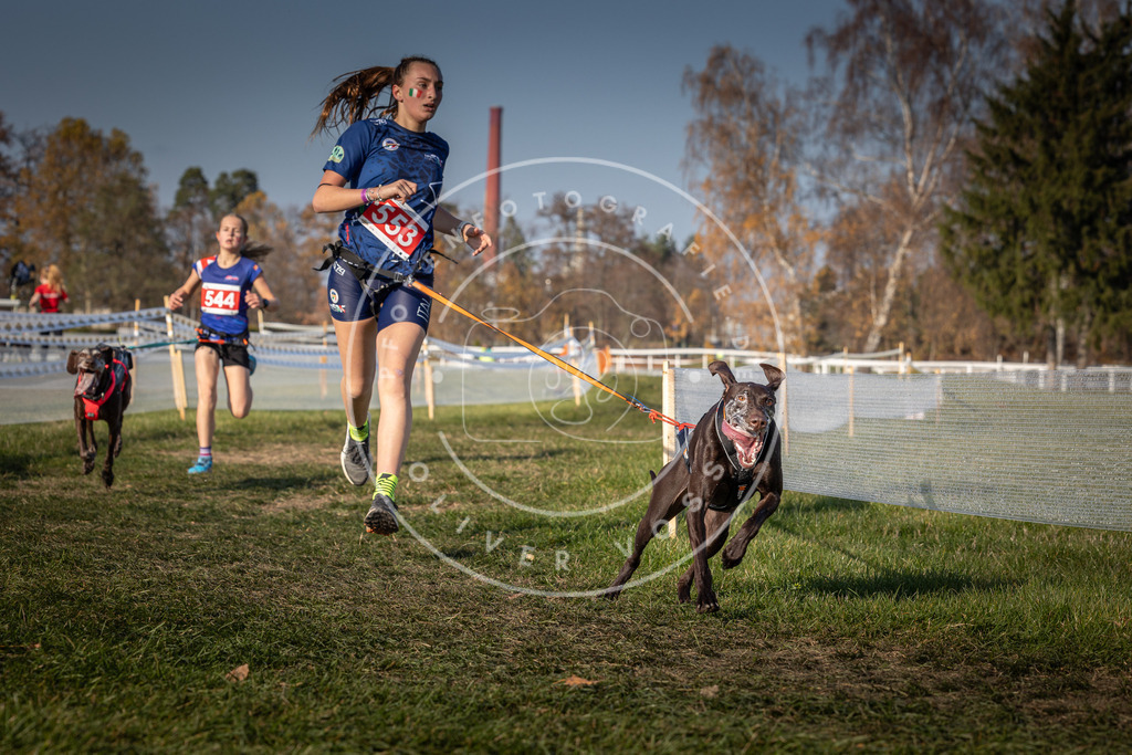 CaniXpix_0L8A9092 | Hundefotografie, Tierfotograf, Pfotenfotografie, Fotoshooting Hund, Hunde Portrait, Hundesport, Hundeportraits, Heideshooting, Hunde, Sportfotograf, Hundefotograf, Turnierhundsport, THS,  - Realisiert mit Pictrs.com