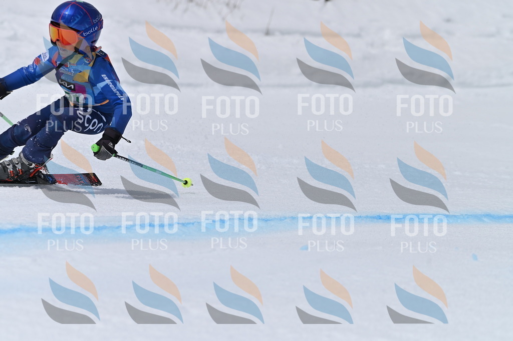 BGV_3882 | holidayphoto