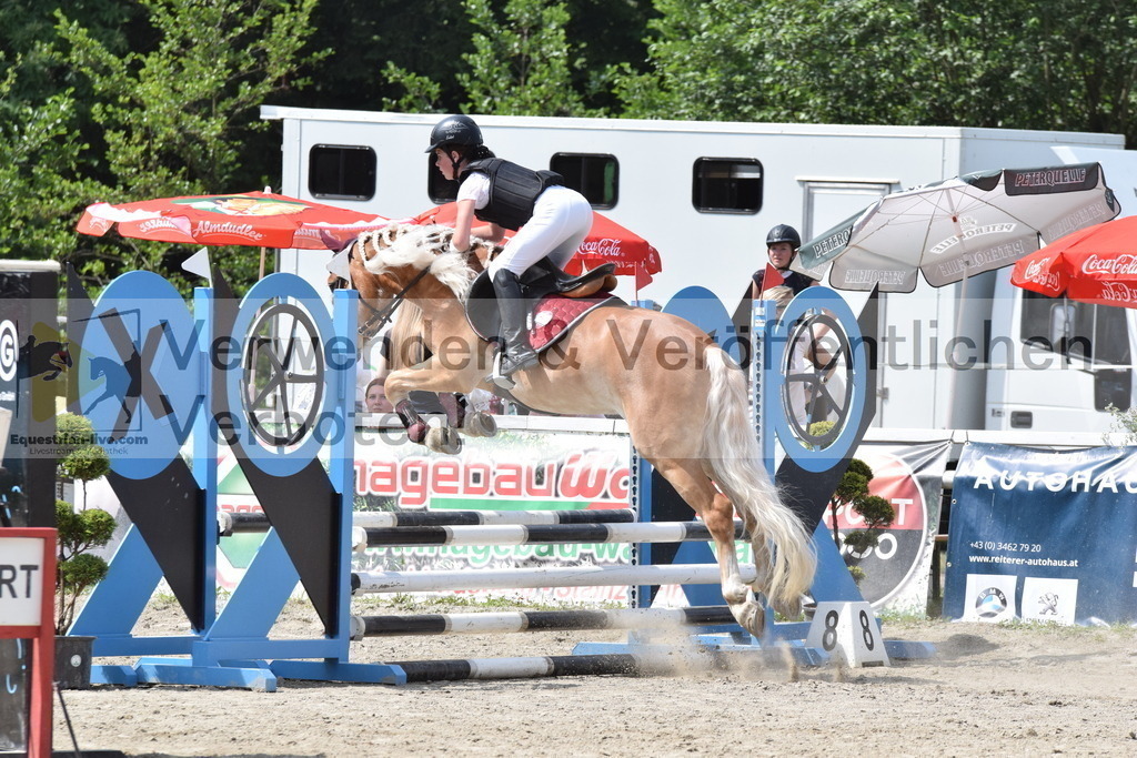 DSC_0017 | equestrian-live-com