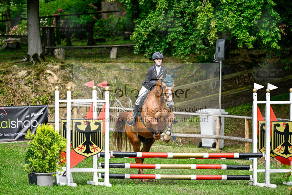 Bissendorfer Reitertage | Entdecke hochwertige Reitturnierfotos von Foto Oger. Professionell, emotional und authentisch – jetzt Lieblingsmomente im Shop bestellen. - Realisiert mit Pictrs.com