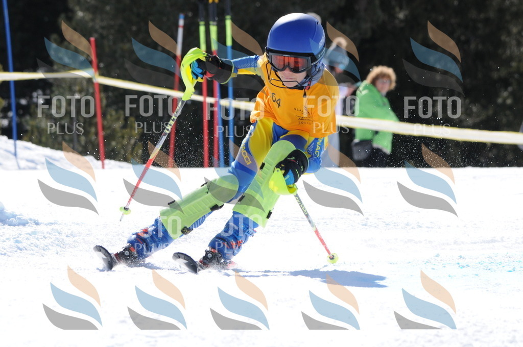 C8943 | holidayphoto