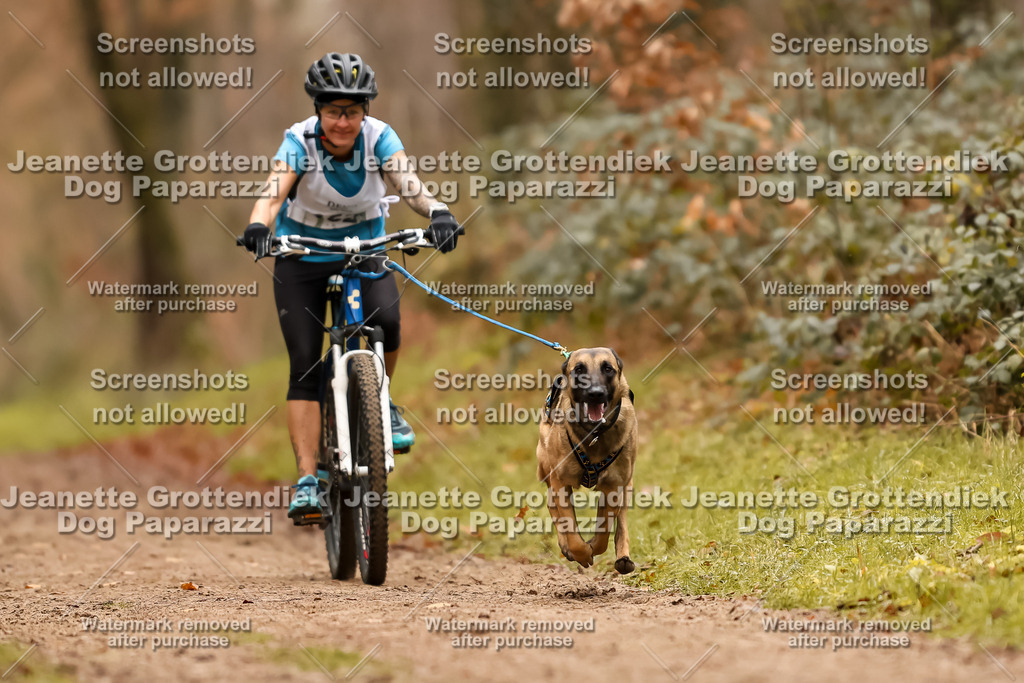 Dog Paparazzi - Speedhunter Mannheim  2025-318 | Dog Paparazzi Jeanette Grottendiek Fotografie & Videografie