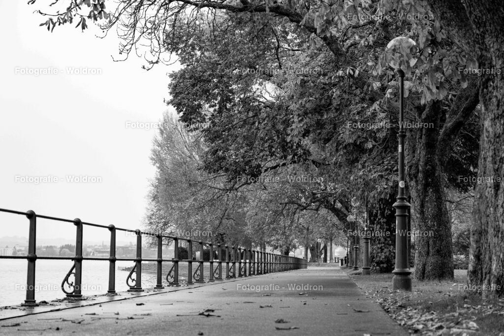 20221109 Bregenz-5 | Fotografie Woldron