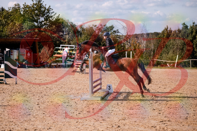 2026_10_03_Siefer-Hof_154640_Z81_65370603 | Professionelle Reitsport-, Turnier- und Eventfotografie von Robert Broda. Galerien mit ausgewählten und bearbeiteten Bildern direkt online ansehen und bestellen.