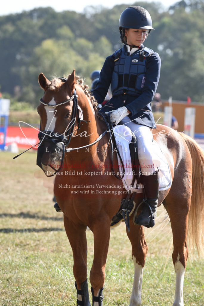 DSC_6153 | Pferde- und Turnierfotografie in Westsachsen. Pferdeportraits, Auftragszeichnungen und intuitive Kunst.
