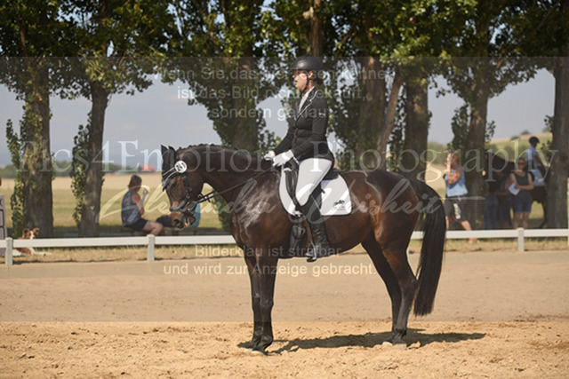 DSC_1201 | Pics4Emotions Photography - Realisiert mit Pictrs.com