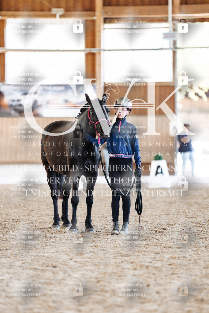 CK906829 | Turnierfotografie Pferdefotografie Trier Rheinland-Pfalz Pferdesport Reitsport Tierfotografie Sportfotografie Pferdevideo Pferdevideografie Equestrianvideography equestrianphotography  - Realisiert mit Pictrs.com