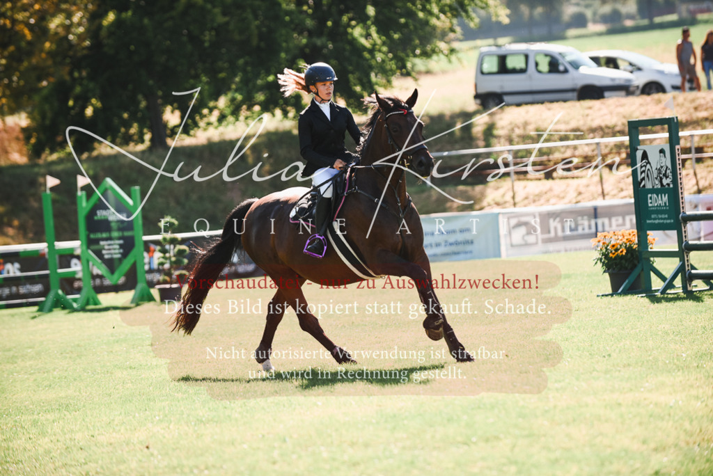 DSC_2390 | Pferde- und Turnierfotografie in Westsachsen. Pferdeportraits, Auftragszeichnungen und intuitive Kunst.