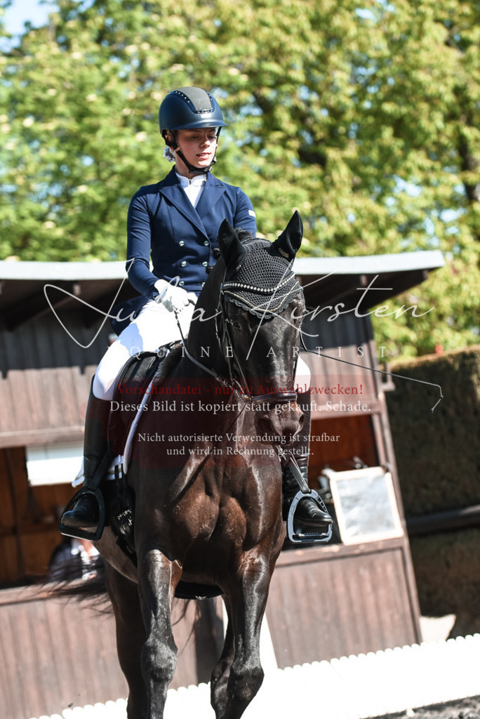 DSC_8577 | Pferde- und Turnierfotografie in Westsachsen. Pferdeportraits, Auftragszeichnungen und intuitive Kunst.
