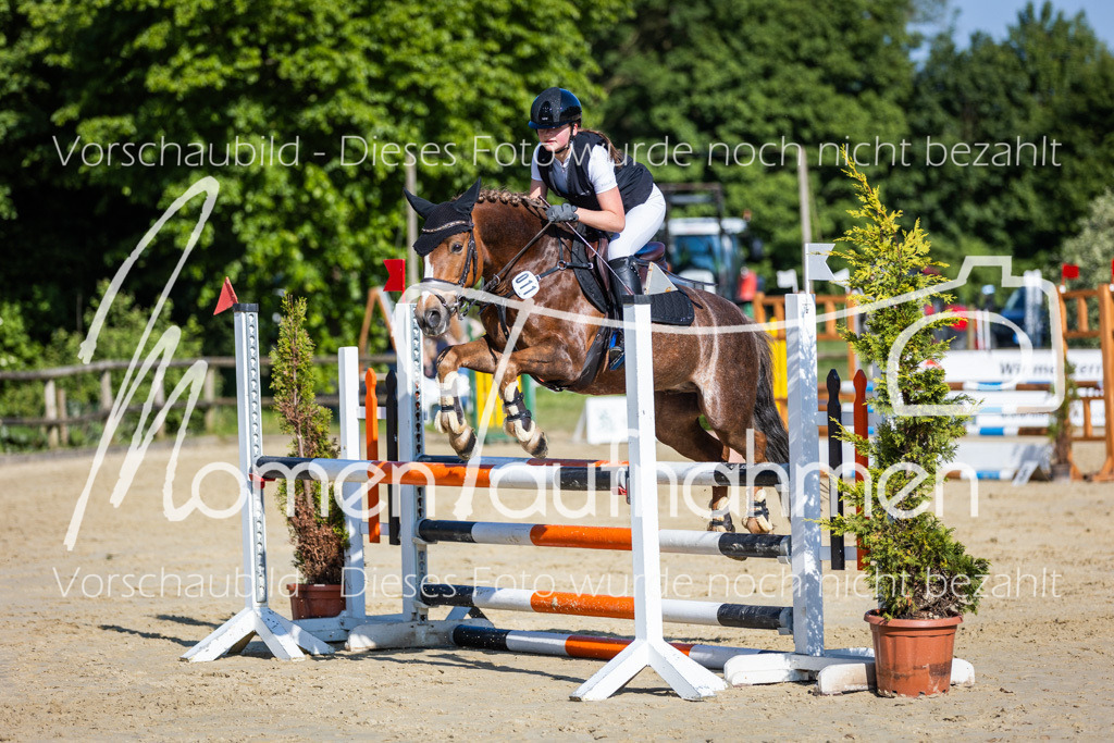 Donop24-ASpr-086 | MomenTaufnahmen Pferdesportfotos