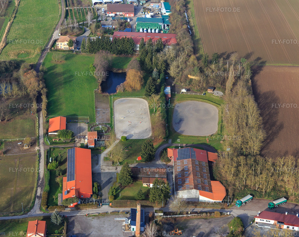 Luftbild: Pferdehof am Langgasserweg in Herxheim bei Landau im Bundesland Rheinland-Pfalz in Deutschland. Foto: IMG_145151.jpg vom 04.01.2025 durch Werner Riehm/FLY-FOTO.de