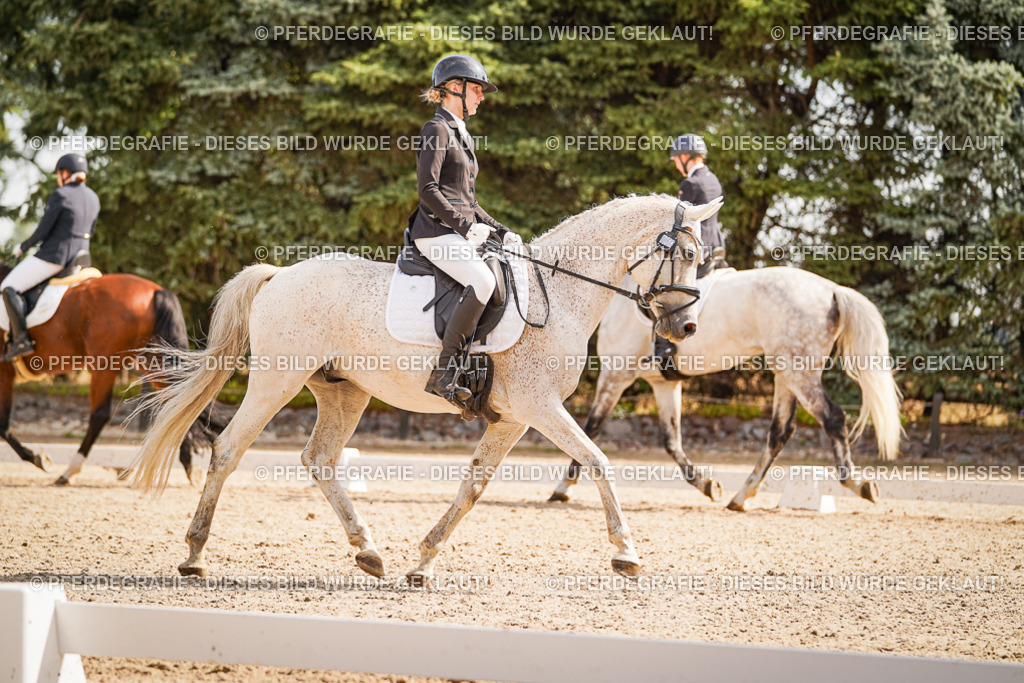 DSC01225 | Pferdegrafie