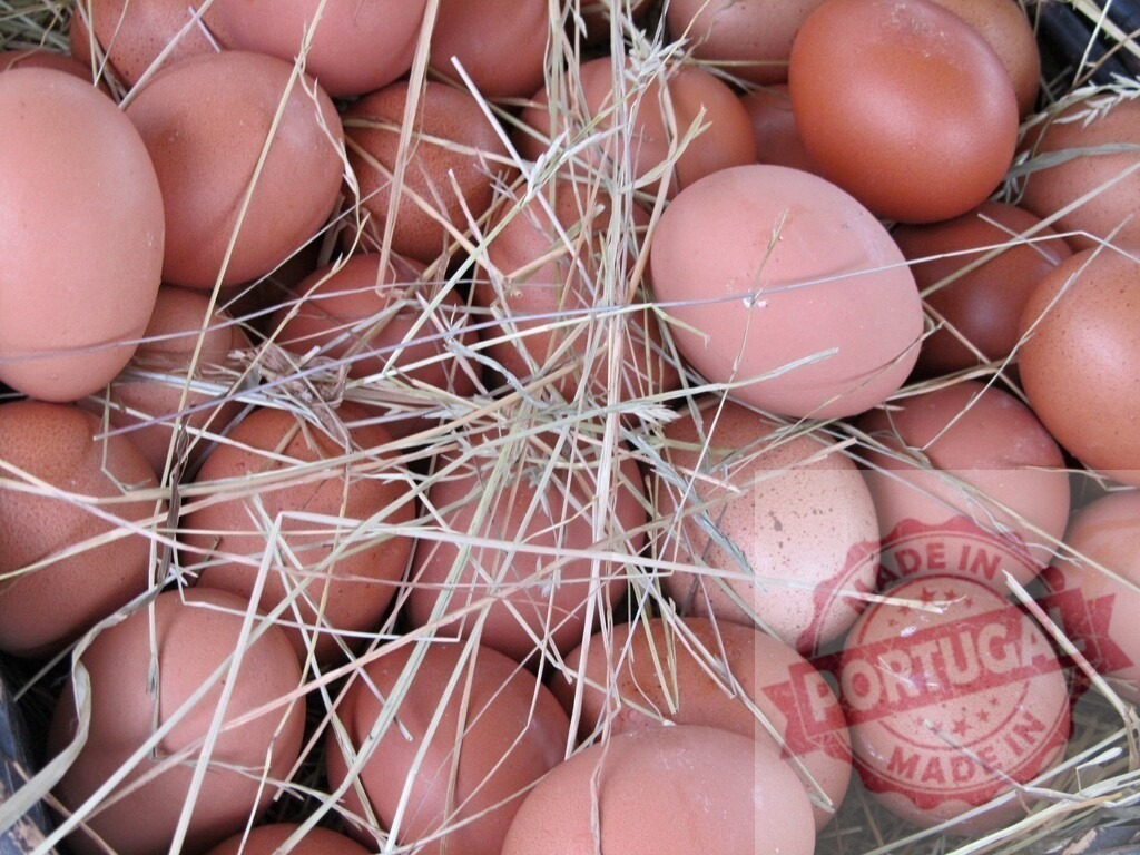 Brown eggs nesting in hay, fresh organic farm produce | Brown farm fresh eggs resting in natural hay, healthy food concept - Realized with Pictrs.com