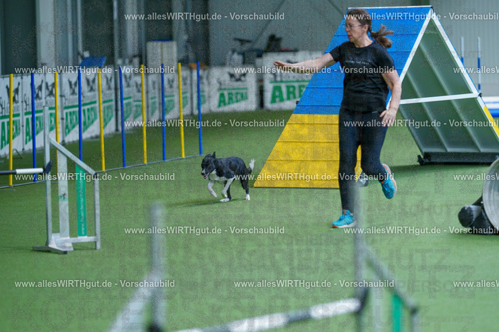 @allesWIRTHgut_Tierfotografie - www.allesWIRTHgut.de - 2604261521-7R505306 | Professionelle Tierfotografie in Mönchengladbach von Daniel Wirth (allesWIRTHgut). Liebevolle & natürliche Bilder von Hunden & Katzen für unvergessliche Erinnerungen.