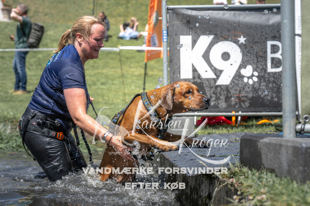 1230_ZZ97805 | kk-dogfotos