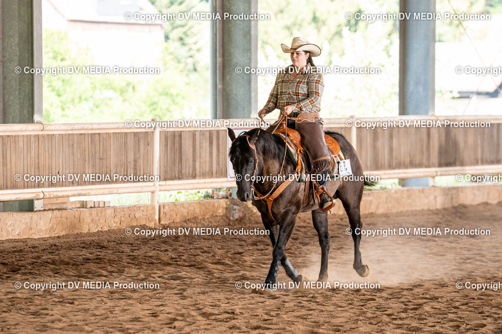 Erbach Tag 1-1007 | dv-media-shop - Realisiert mit Pictrs.com