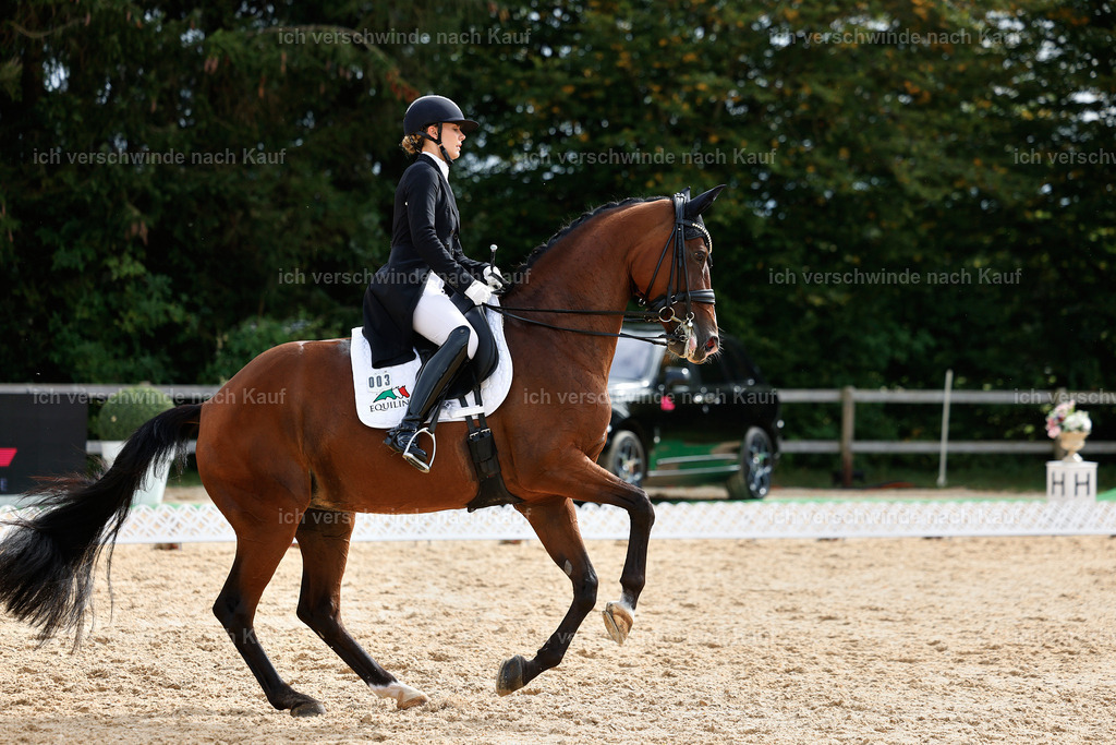 11-003-Dressur S___-StoibPH-1081 | working equitationturnier fotograf videograf stoibphotography marixx film working equitation deutschland reitsport turnierfotografie eventfotografie equestrian events