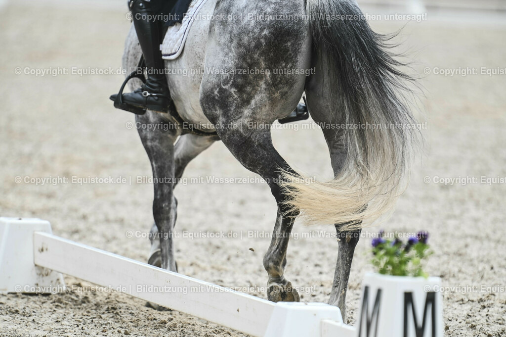 20230512_Impressionen_0001 | equistock