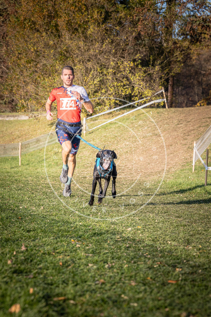 CaniXpix_0L8A0075 | Hundefotografie, Tierfotograf, Pfotenfotografie, Fotoshooting Hund, Hunde Portrait, Hundesport, Hundeportraits, Heideshooting, Hunde, Sportfotograf, Hundefotograf, Turnierhundsport, THS,  - Realisiert mit Pictrs.com