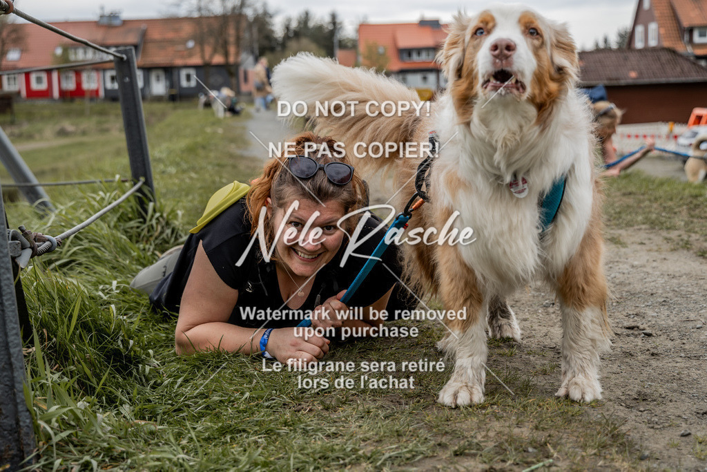 NR__2837 | nelerasche