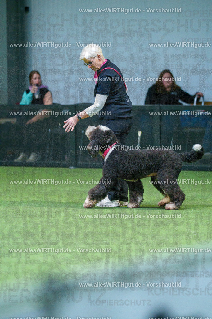 7R502683 | Professionelle Tierfotografie in Mönchengladbach von Daniel Wirth (allesWIRTHgut). Liebevolle & natürliche Bilder von Hunden & Katzen für unvergessliche Erinnerungen.