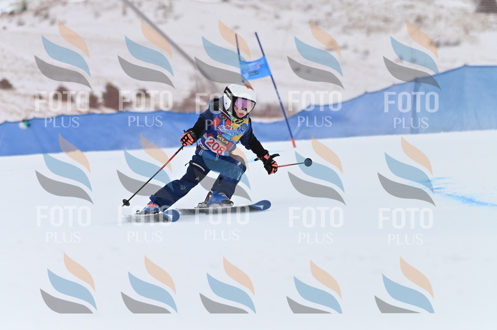 BGV_2284 | holidayphoto