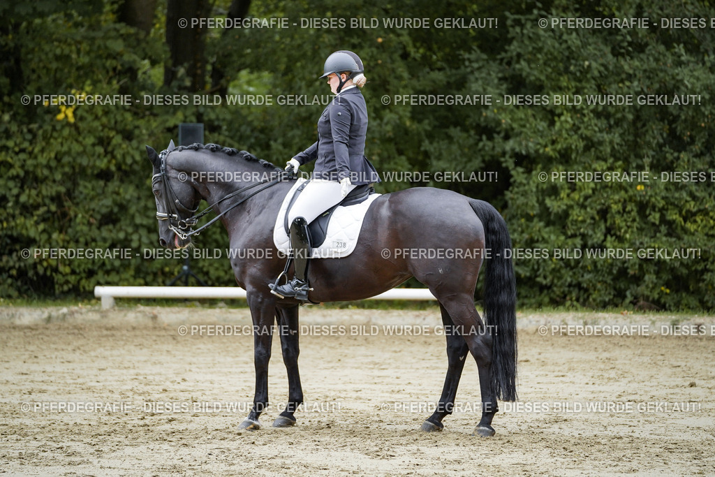 DSC09347 | Pferdegrafie