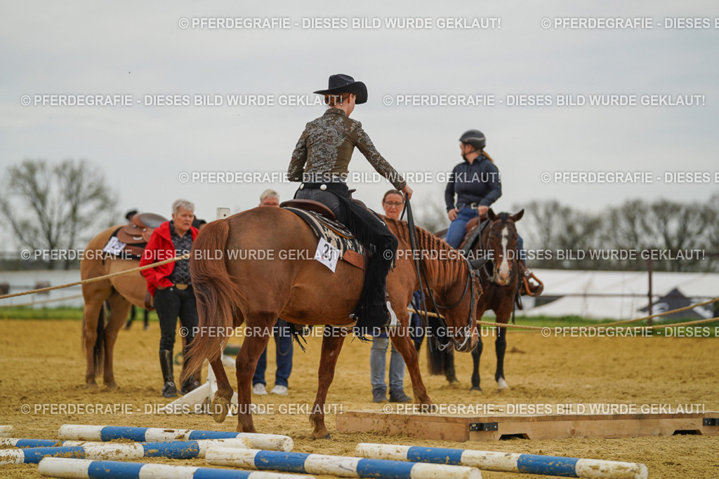 DSC02615 | Pferdegrafie