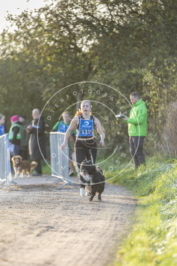 Pfotenfotografie.de_DV3A2465 | Hundefotografie, Tierfotograf, Pfotenfotografie, Fotoshooting Hund, Hunde Portrait, Hundesport, Hundeportraits, Heideshooting, Hunde, Sportfotograf, Hundefotograf, Turnierhundsport, THS, canicross - Realisiert mit Pictrs.com