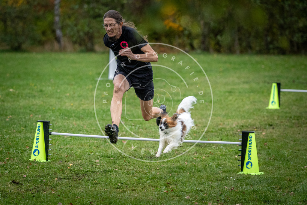 Pfotenfotografie_DV3A1541 | Hundefotografie, Tierfotograf, Pfotenfotografie, Fotoshooting Hund, Hunde Portrait, Hundesport, Hundeportraits, Heideshooting, Hunde, Sportfotograf, Hundefotograf, Turnierhundsport, THS,  - Realisiert mit Pictrs.com