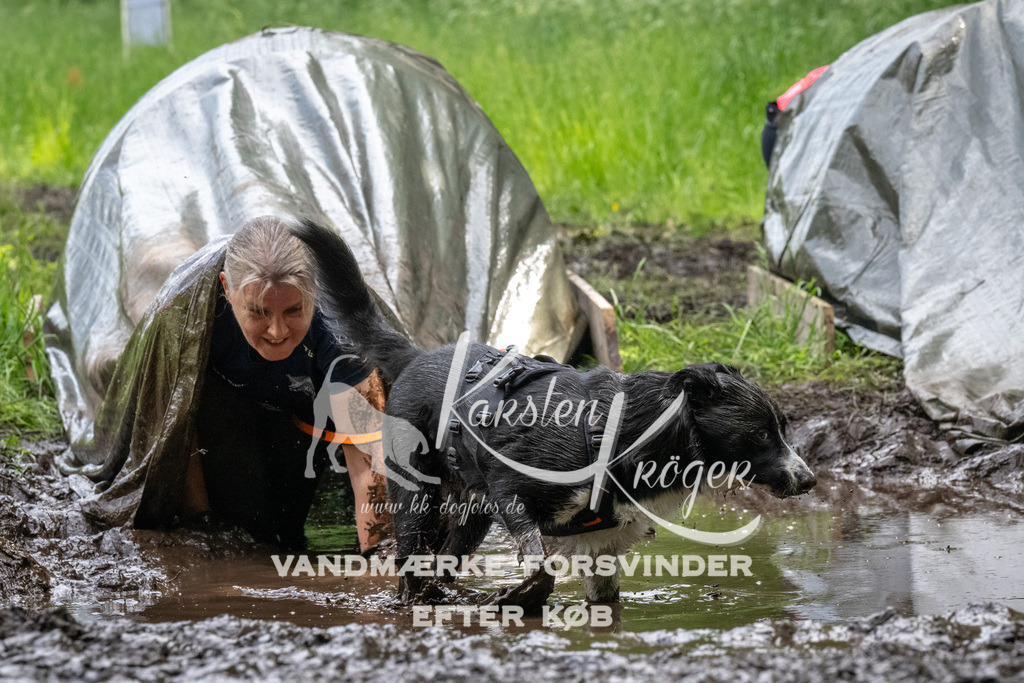 1252_ZZ93982 | kk-dogfotos