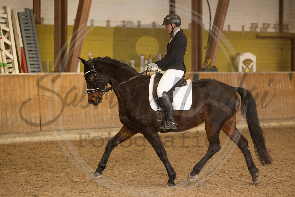 994A9228 | sabrinanicolaifotografie - Realisiert mit Pictrs.com