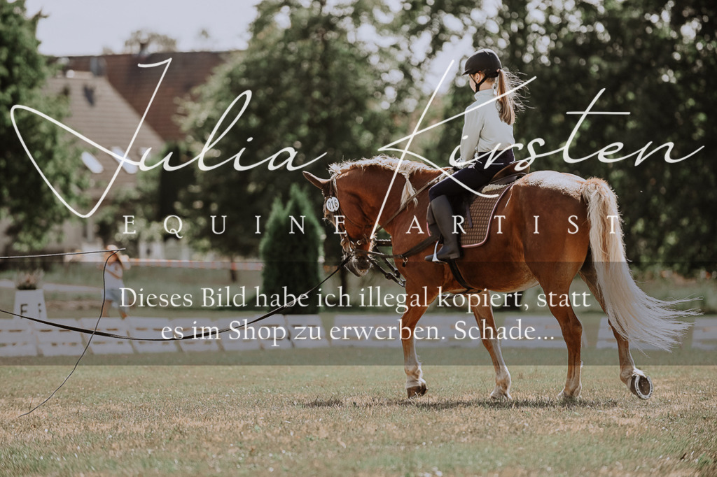 DSC_7552 | Pferde- und Turnierfotografie in Westsachsen. Pferdeportraits, Auftragszeichnungen und intuitive Kunst.