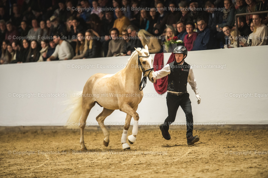 20240302_Hengstvorstellung_Marbach_TOMsPiC_0869 | equistock