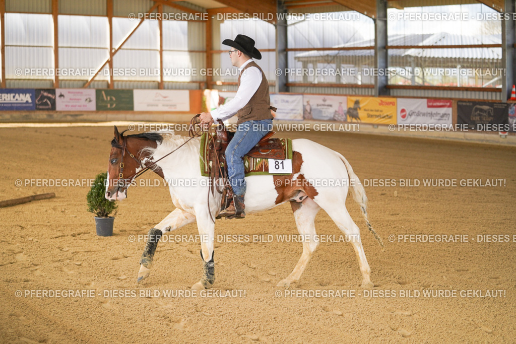 DSC06786 | Pferdegrafie