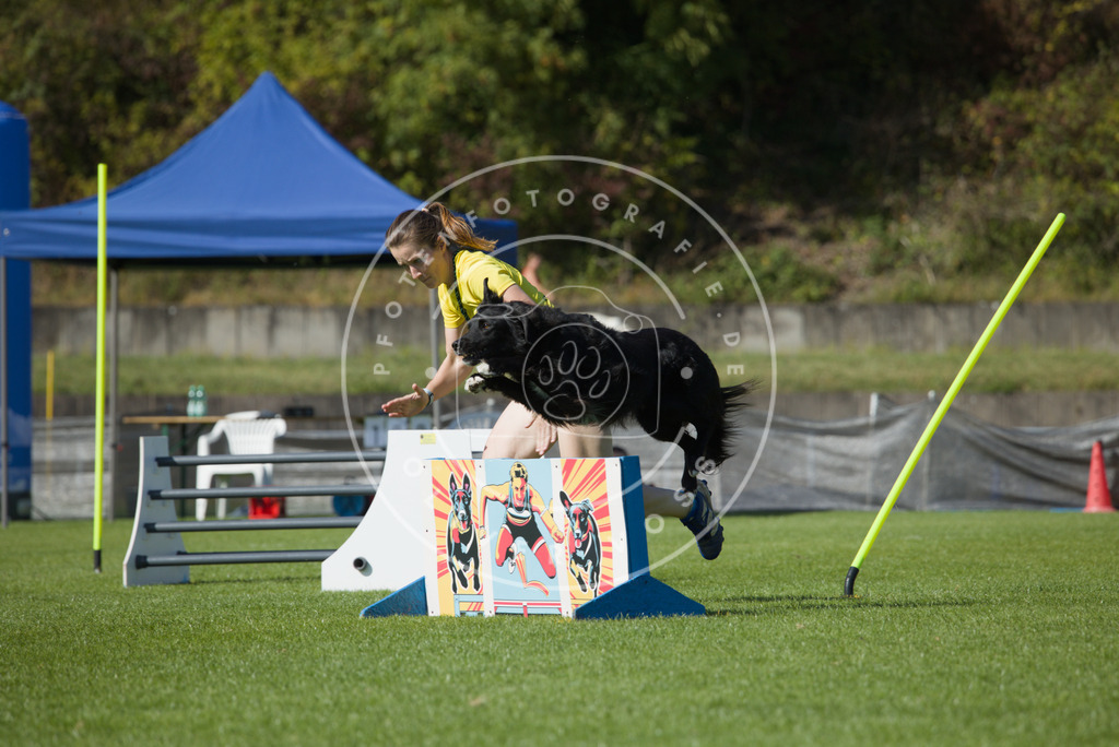 0L8A8036 | Hundefotografie, Tierfotograf, Pfotenfotografie, Fotoshooting Hund, Hunde Portrait, Hundesport, Hundeportraits, Heideshooting, Hunde, Sportfotograf, Hundefotograf, Turnierhundsport, THS,  - Realisiert mit Pictrs.com