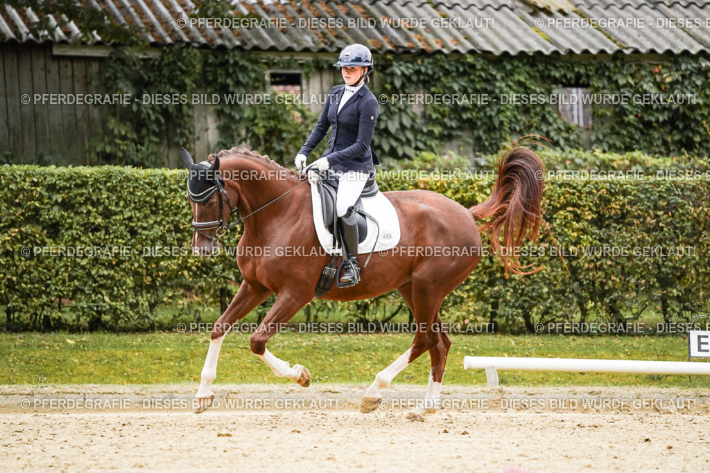 DSC06932 | Pferdegrafie