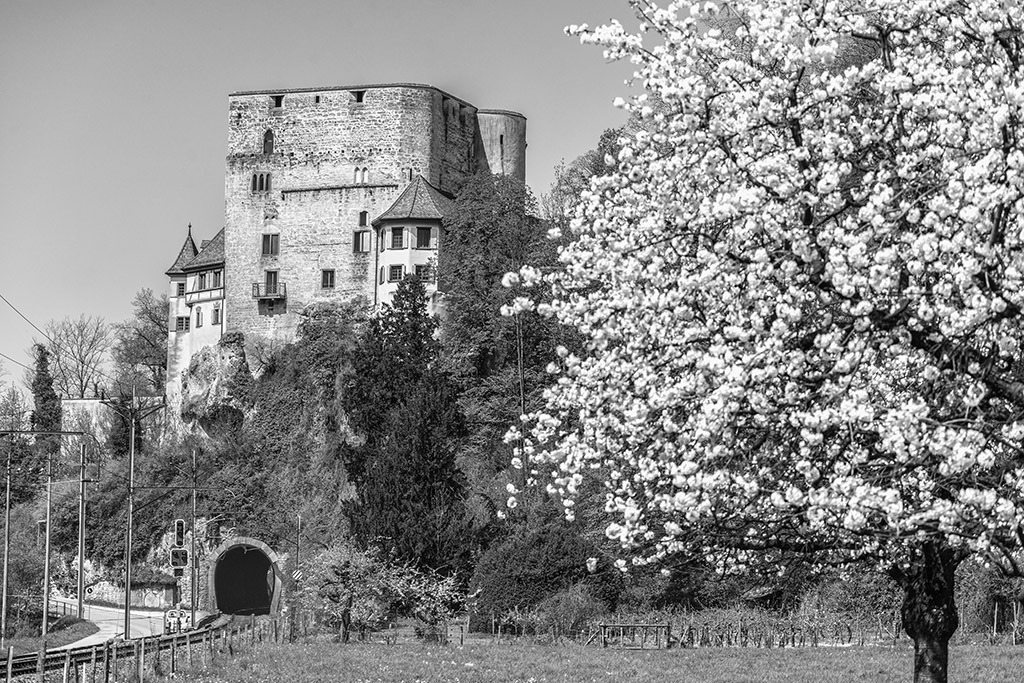 Schloss Angenstein | Das Schloss Angenstein in Duggingen BL, Schweiz. - Realisiert mit Pictrs.com