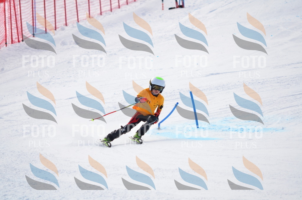 C8306 | holidayphoto