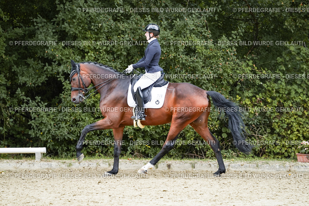 DSC07292 | Pferdegrafie