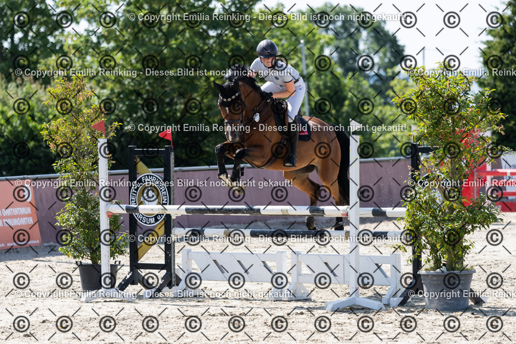 CL5A3141 | Emilia Reinking Fotografie - Realisiert mit Pictrs.com