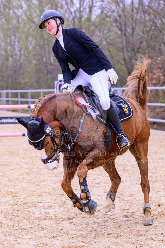 12042026-Mammendorf-Prfg43-0232 | Fokus Hufschlag Fotografie - Realisiert mit Pictrs.com