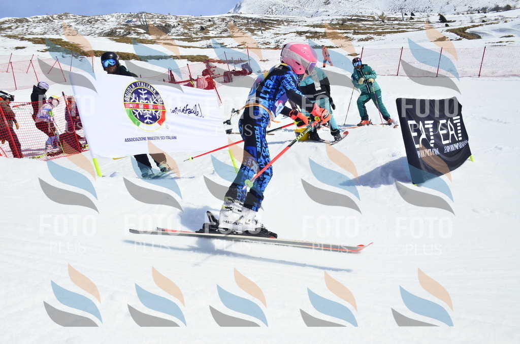 _ELE1242 | holidayphoto