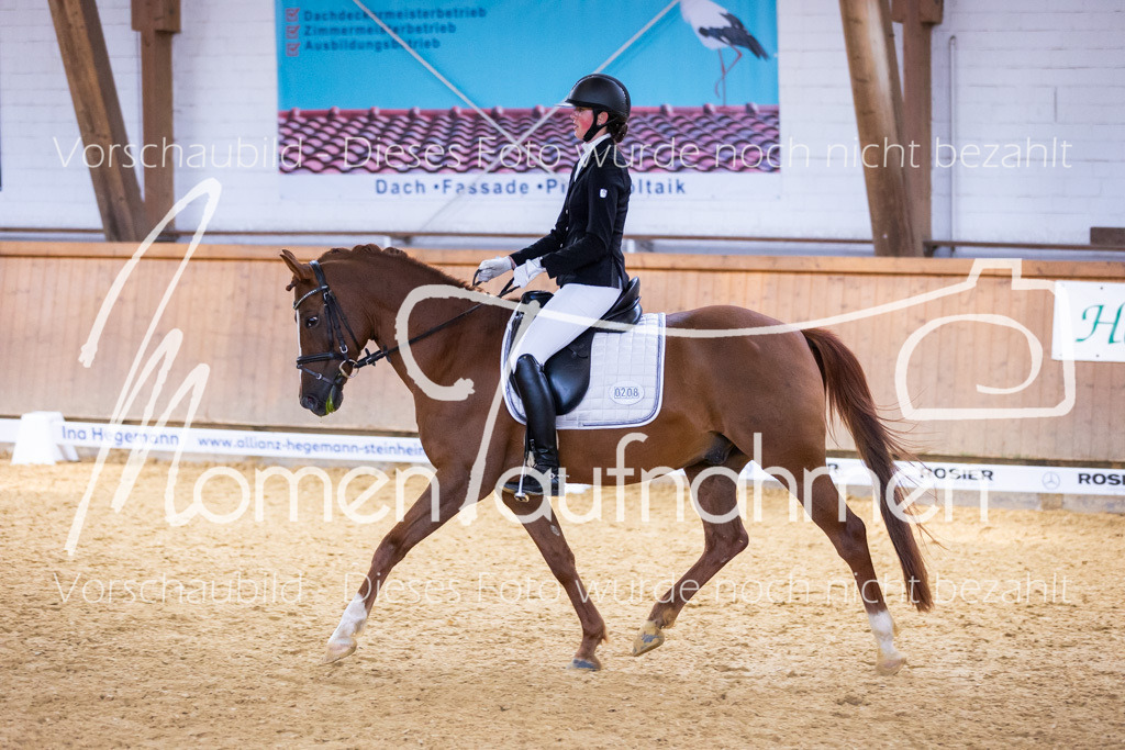 Sth-A-Dre-2St-204 | MomenTaufnahmen Pferdesportfotos