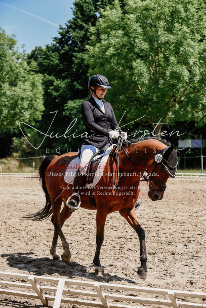 DSC_1888 | Pferde- und Turnierfotografie in Westsachsen. Pferdeportraits, Auftragszeichnungen und intuitive Kunst.