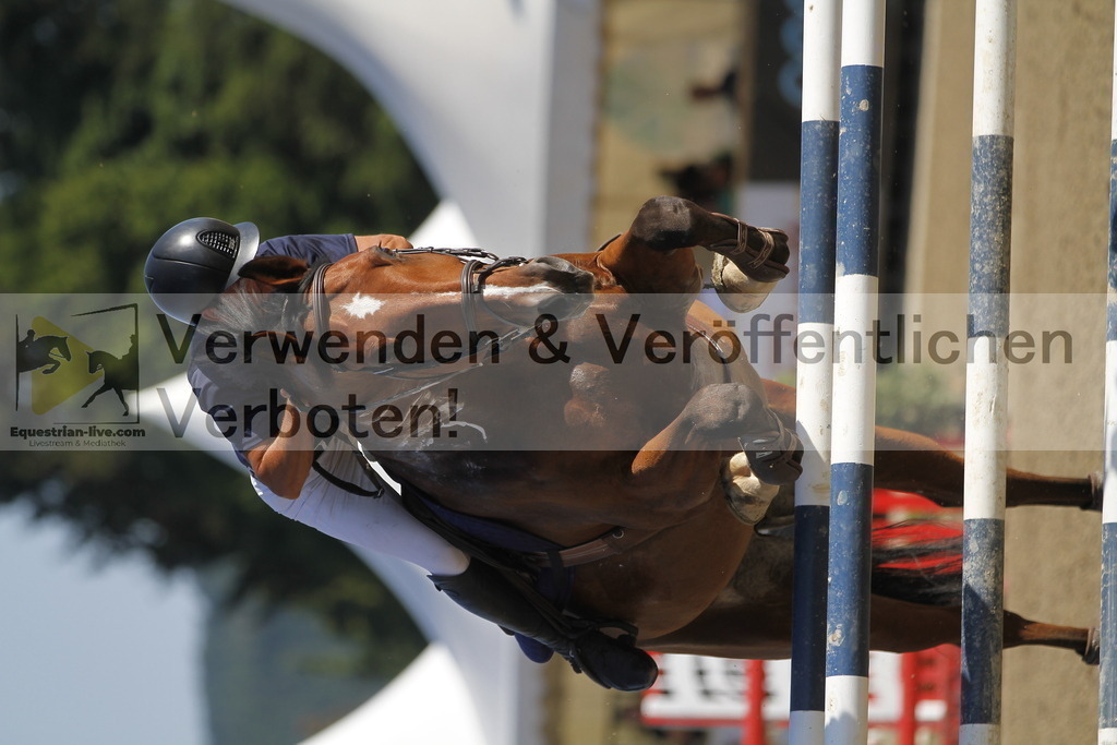 _MG_6631 | equestrian-live-com